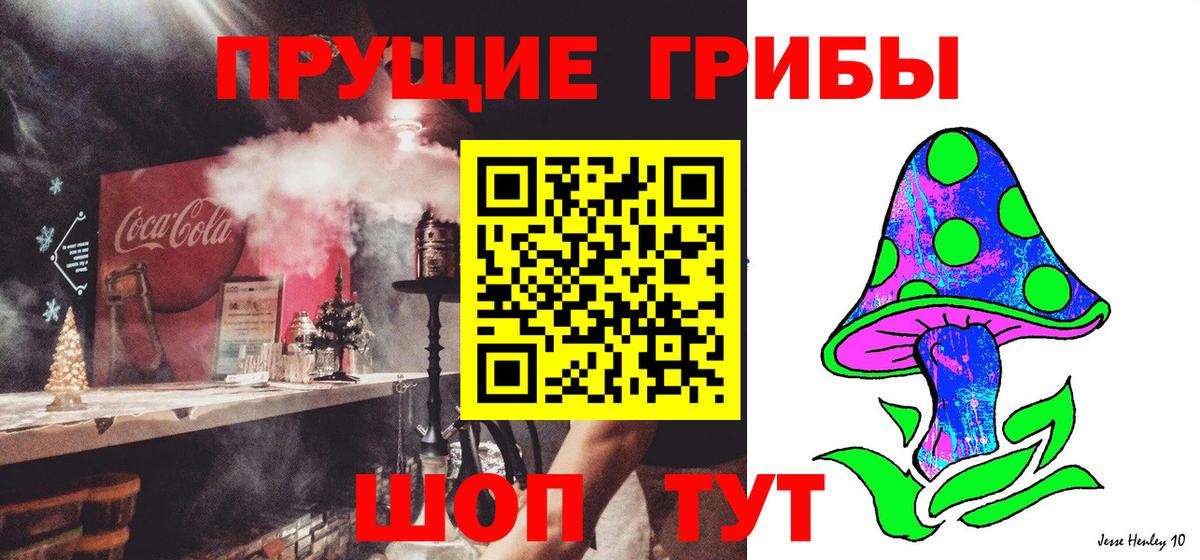 Псилоцибиновые грибы прущие грибы  Вход с VPN  Сорочинск 
