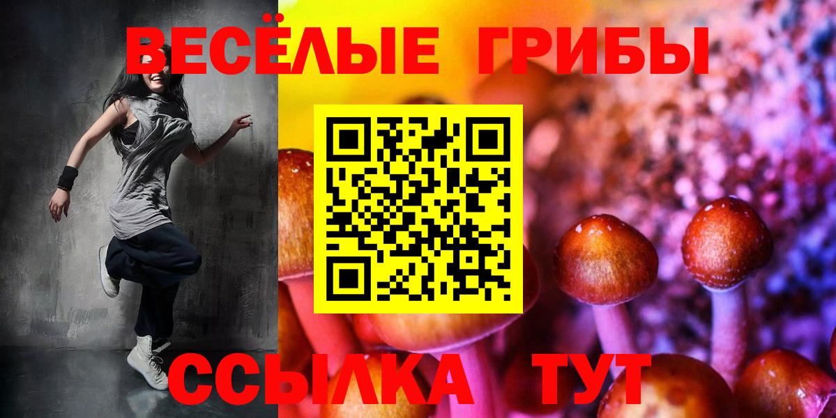 Галлюциногенные грибы Psilocybe Сорочинск